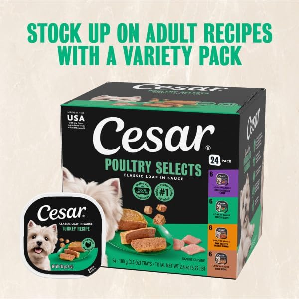 Cesar Classic Loaf in Sauce Wet Dog Food, Meaty Selects, 3.5 oz, 24 Count | Made in USA, Real beef or chicken #1 ingredient, no fillers or artificial flavors, slow-cooked, easy peel trays