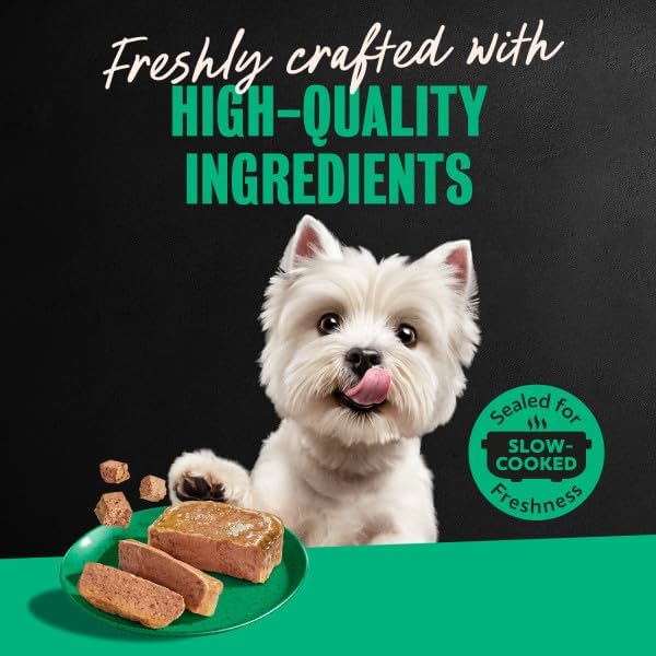 Cesar Classic Loaf in Sauce Wet Dog Food, Meaty Selects, 3.5 oz, 24 Count | Made in USA, Real beef or chicken #1 ingredient, no fillers or artificial flavors, slow-cooked, easy peel trays