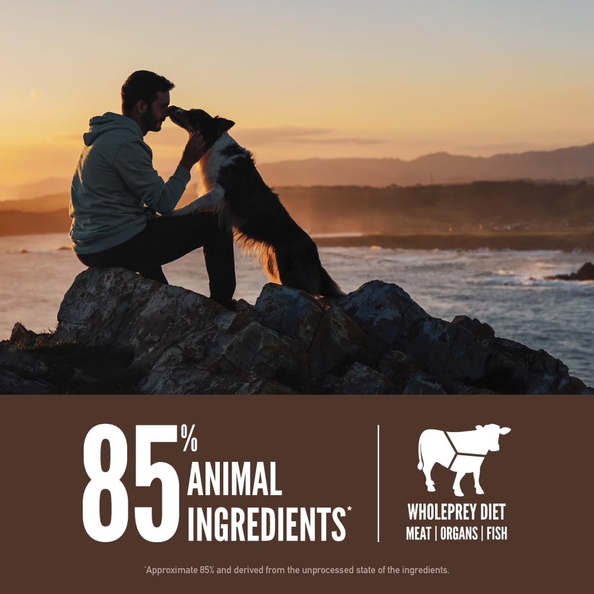 ORIJEN Grain Free WHOLEPREY Dry Dog Food Original Recipe 4.5lb. Bag | WHOLEPREY Ingredients, Grain Free, Made in the USA, Skin & Coat, Global Quality Ingredients
