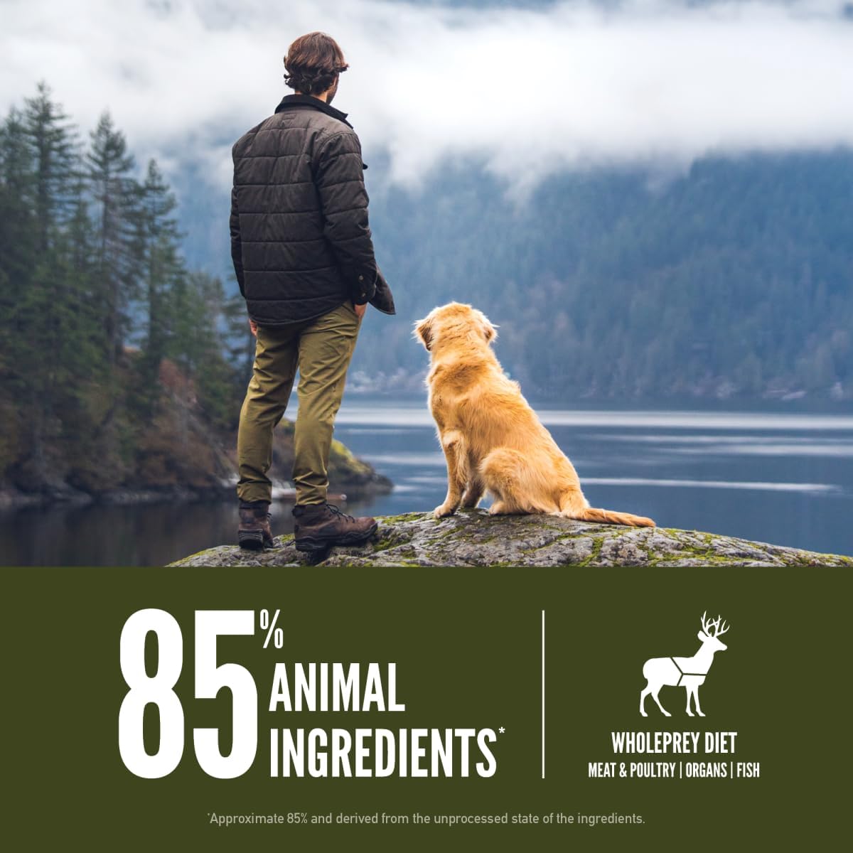 ORIJEN Grain Free WHOLEPREY Dry Dog Food Original Recipe 4.5lb. Bag | WHOLEPREY Ingredients, Grain Free, Made in the USA, Skin & Coat, Global Quality Ingredients