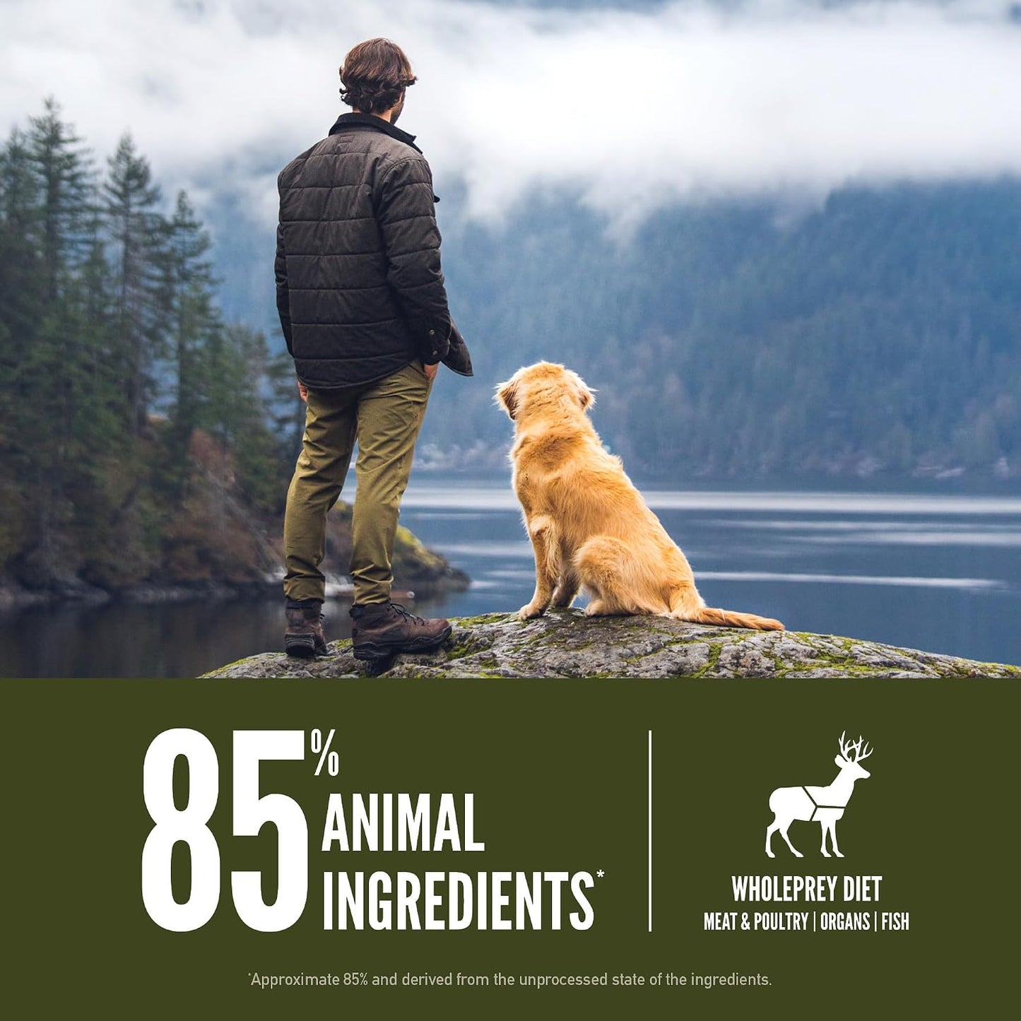 ORIJEN Grain Free WHOLEPREY Dry Dog Food Original Recipe 4.5lb. Bag | WHOLEPREY Ingredients, Grain Free, Made in the USA, Skin & Coat, Global Quality Ingredients