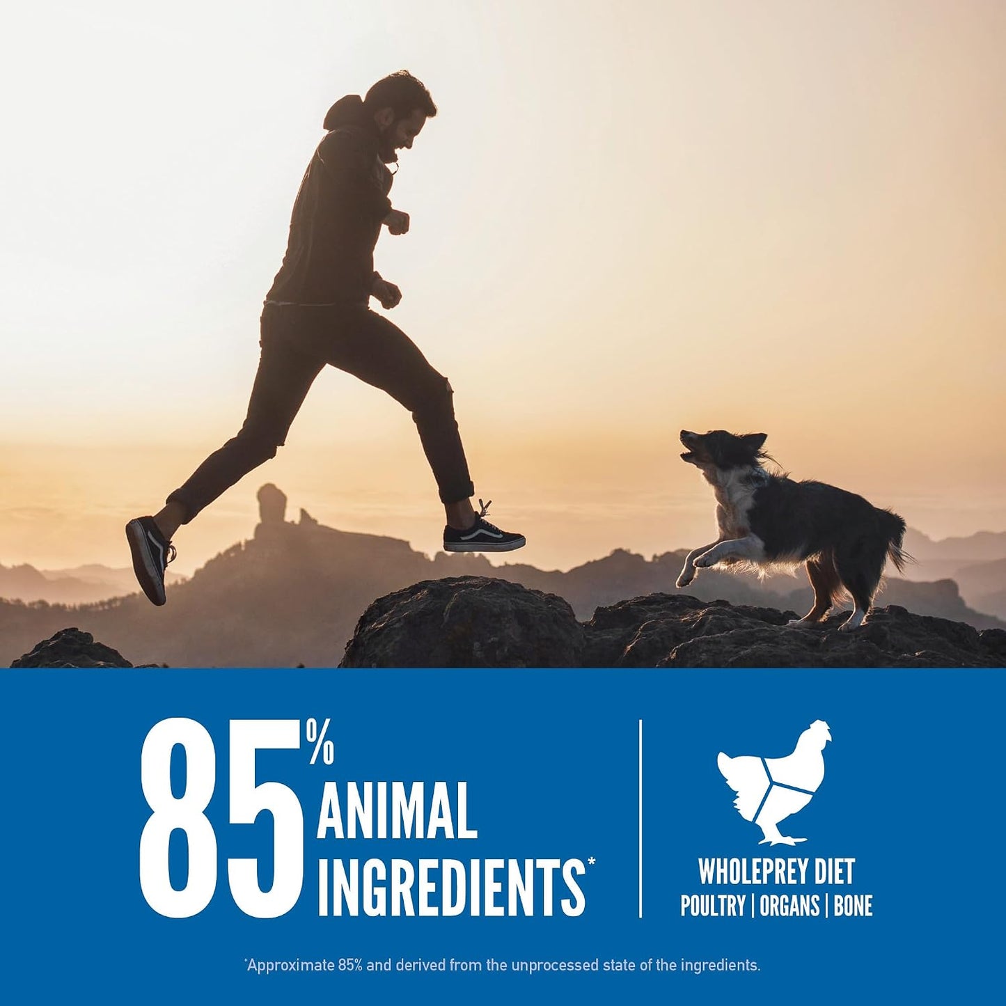 ORIJEN Grain Free WHOLEPREY Dry Dog Food Original Recipe 4.5lb. Bag | WHOLEPREY Ingredients, Grain Free, Made in the USA, Skin & Coat, Global Quality Ingredients