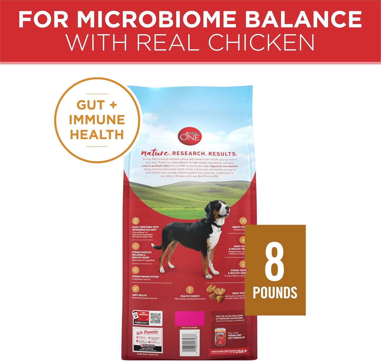 Purina ONE Chicken and Rice Formula Dry Dog Food - 16.5 lb. Bag