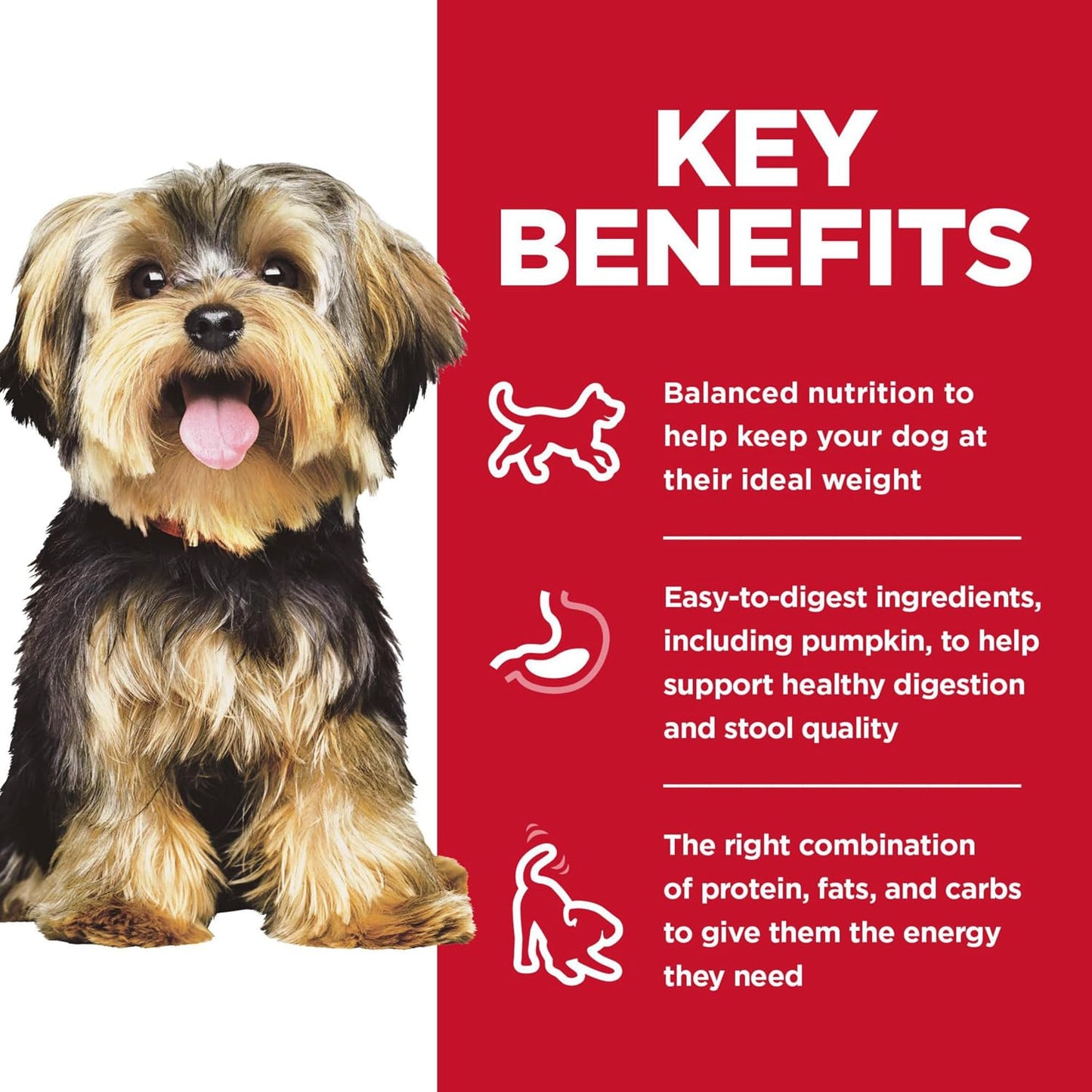 Hill's Science Diet Adult 1-6 Small & Mini Wet Dog Food Variety Pack | #1 Veterinarian Recommended, Chicken & Vegetables, Beef & Vegetables, 3.5 oz. Trays, 12-Pack