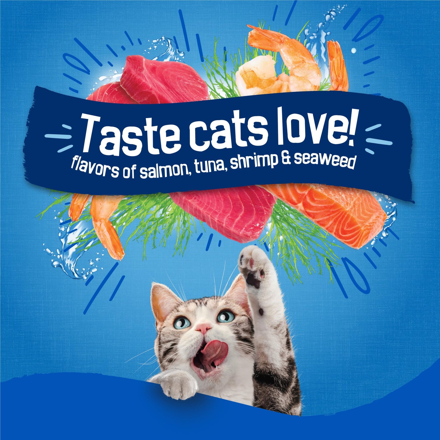 Purina Friskies Dry Cat Food Seafood Sensations With Salmon, Tuna, and Shrimp Flavors - 22 lb. Bag