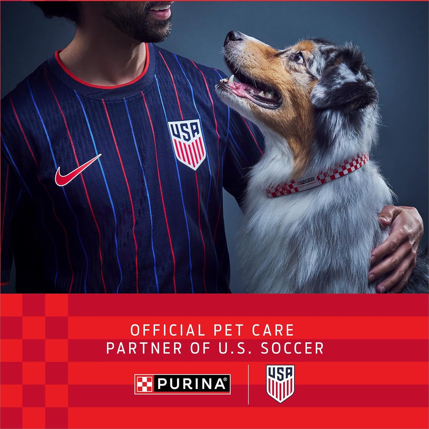 Purina ONE Chicken and Rice Formula Dry Dog Food - 16.5 lb. Bag